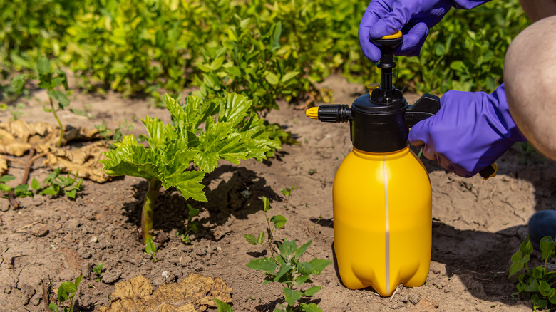 A bottle of toxic chemicals next to weeds in a garden