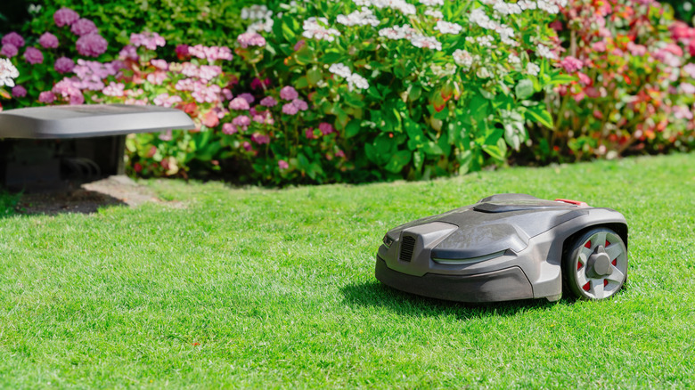 A robotic electric lawn mower sitting on the grass