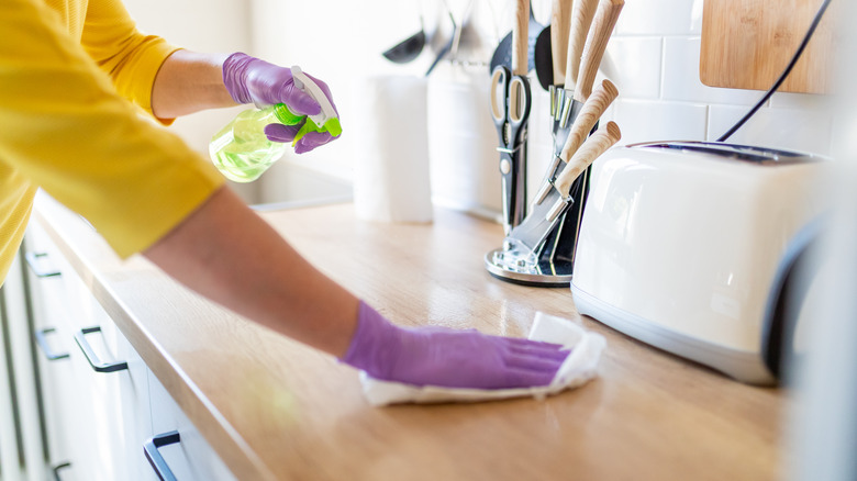 person cleaning kitchen counter