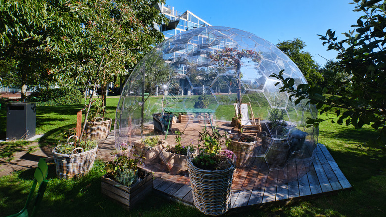 Geodome in the backyard