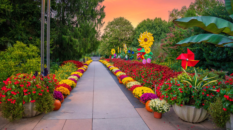 One of the gardens and pathways in the Atlanta Botanical Garden