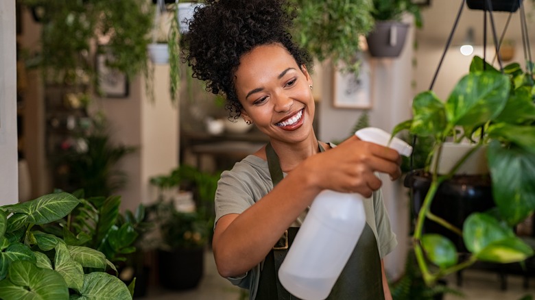 Woman spraying plant 