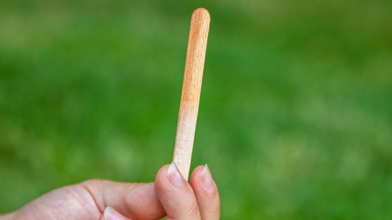 Woman holding a wooden popsicle stick