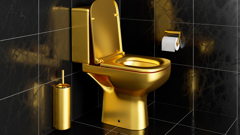 a gold toilet