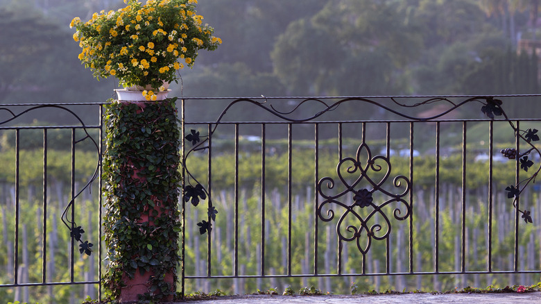 iron deck railing