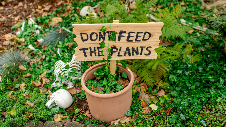 Halloween garden decorations