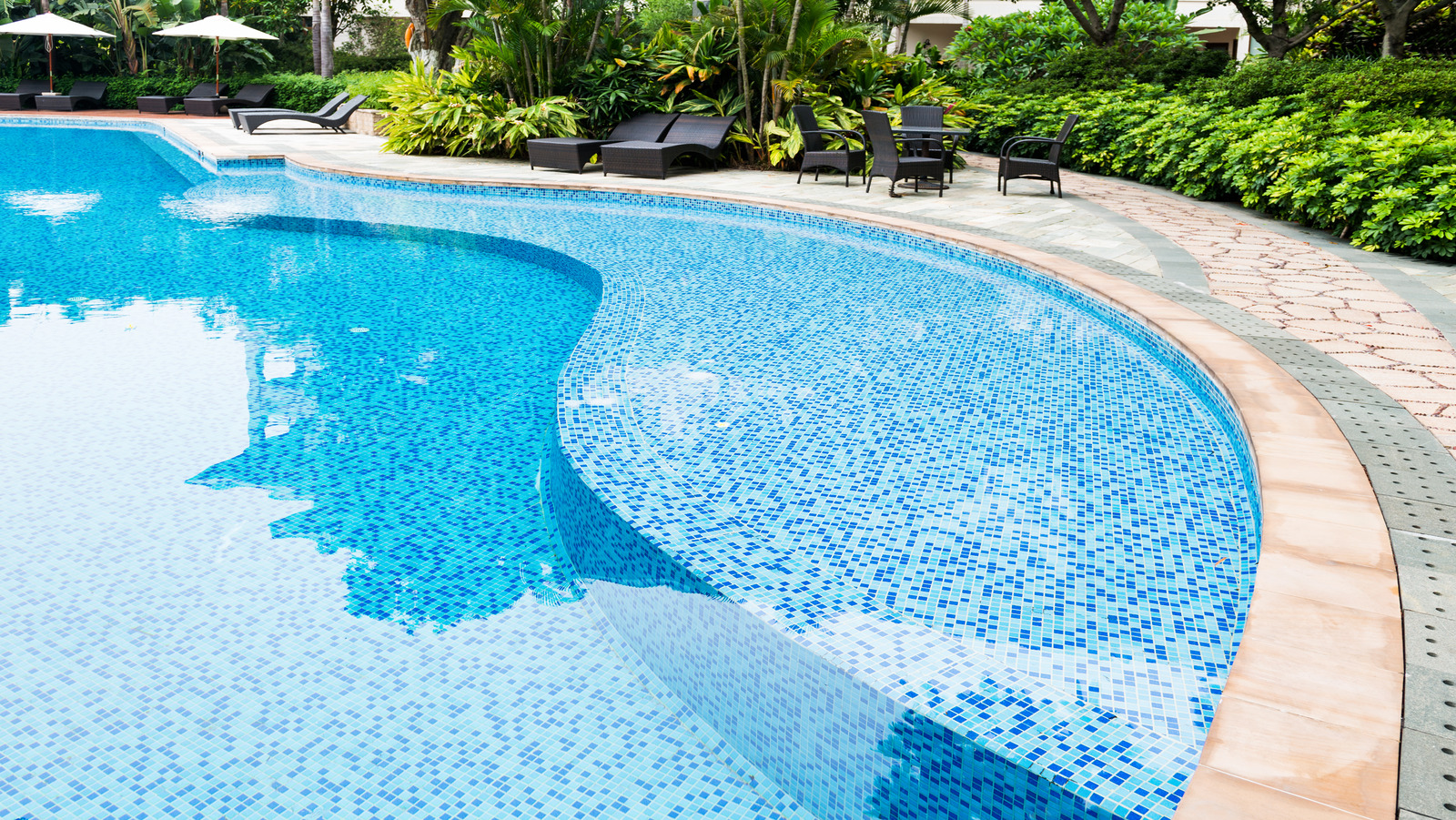 backyard pool large