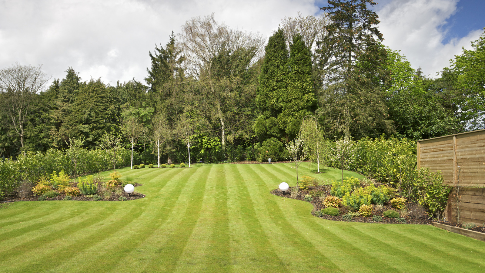 Get Lawn Stripes The Neighbors Will Envy With This Reel Mower Hack