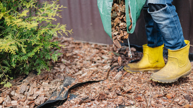a person dumping mulch out of a bag onto the ground