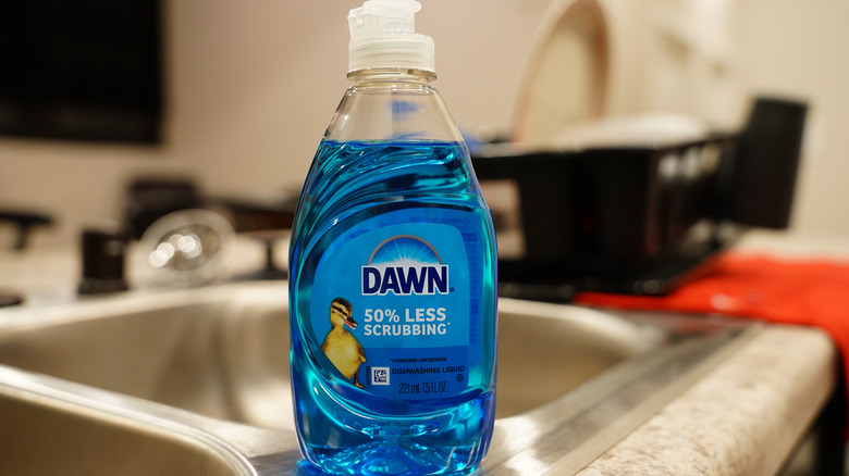 Bottle of Dawn dish soap on edge of stainless steel kitchen sink