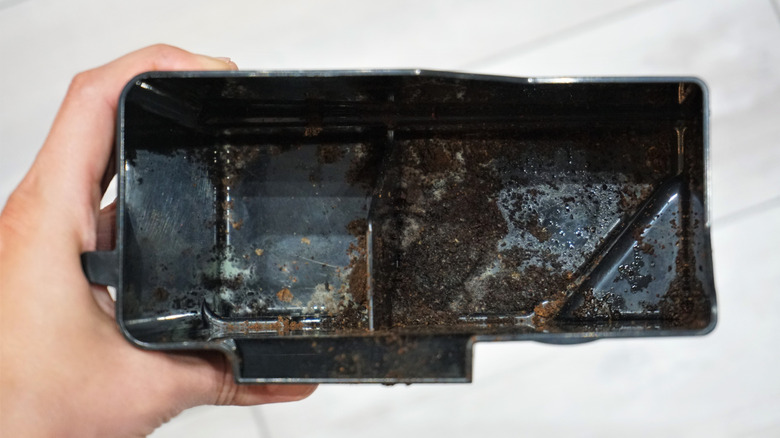 Close up of person holding moldy component from coffee machine