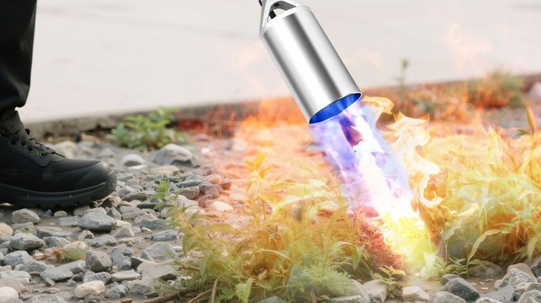 Person using a weed torch on weeds in the garden