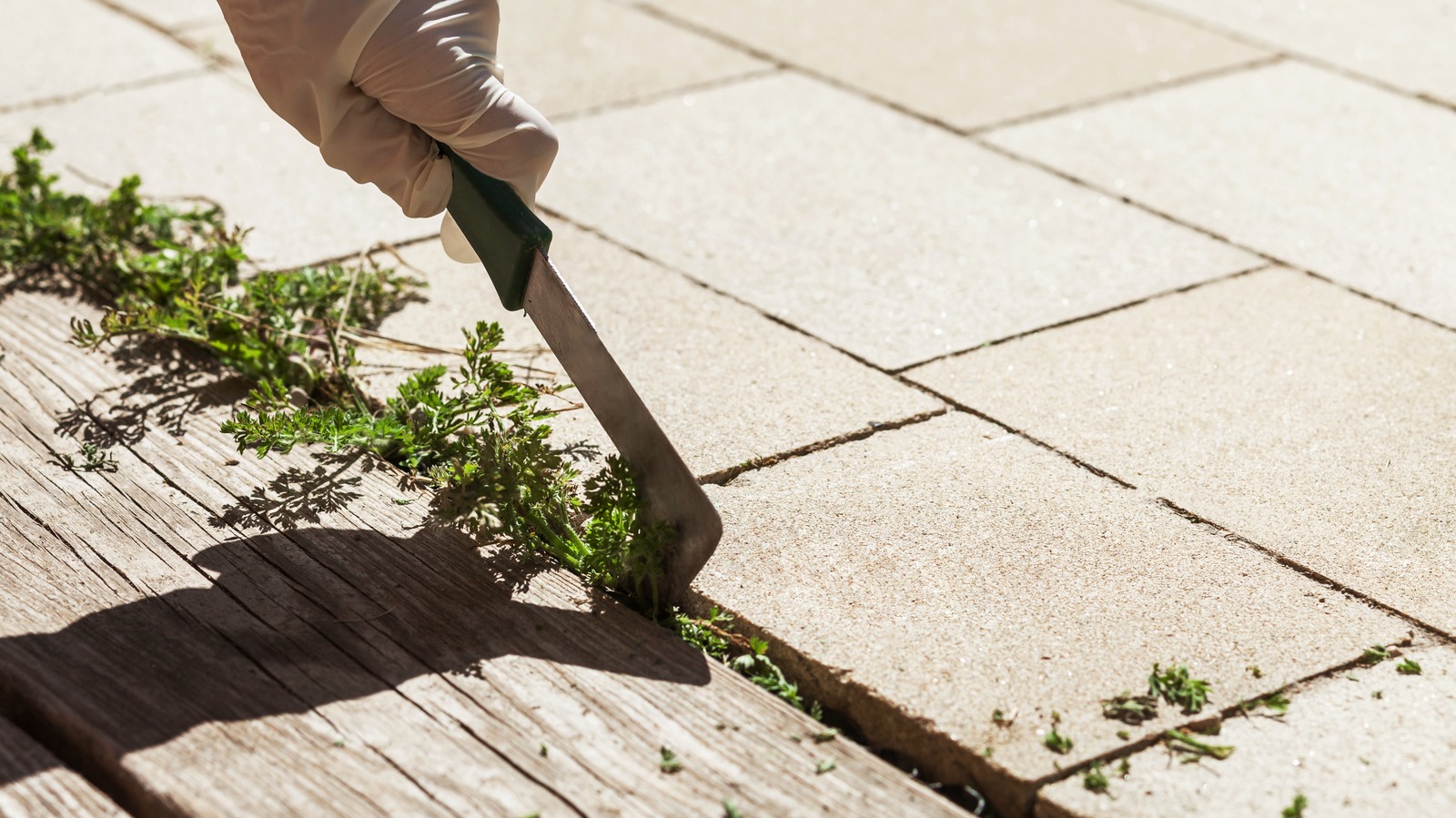 Get Rid Of Weeds On Your Patio With A Natural Liquid You Already Own