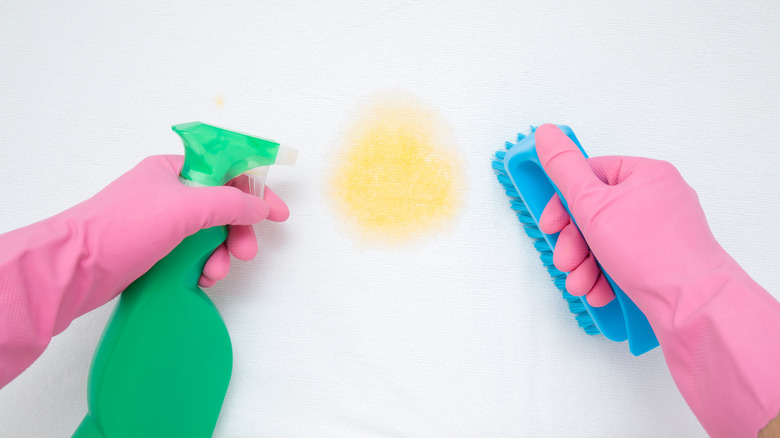 Gloved hands cleaning urine stain