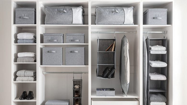Photo of closet wall with shelves and storage bags for organization