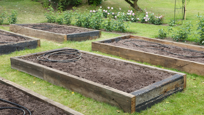 Installing raised garden beds