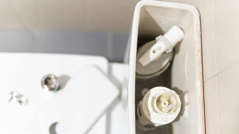 Top view of a toilet tank