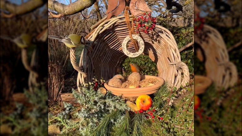Birds eating from a feeder made from an old, decorated basket.