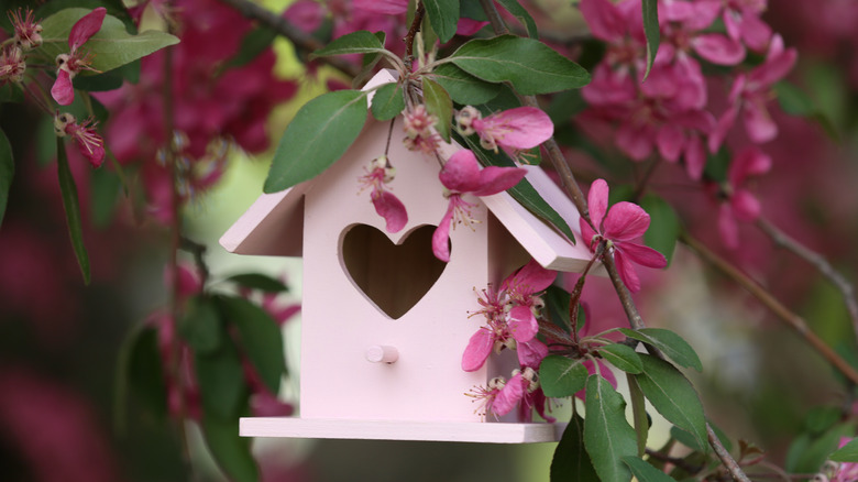 pink birdhouse in flowering tree