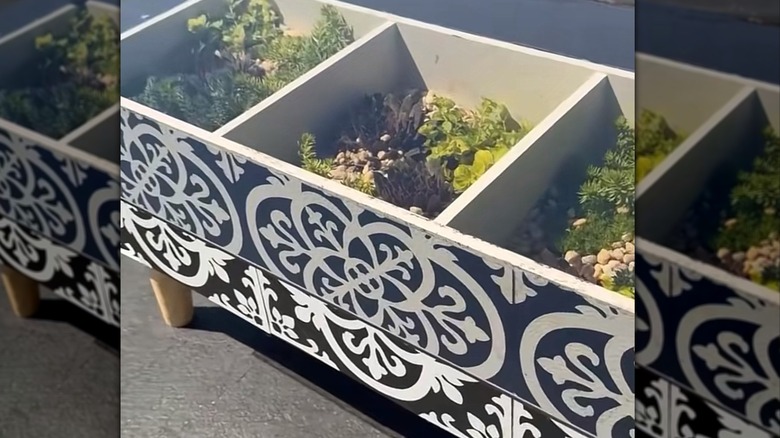 An old bookcase turned into a succulent planter offers a unique designer look