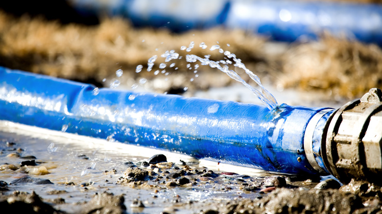 blue garden hose that has sprung a leak