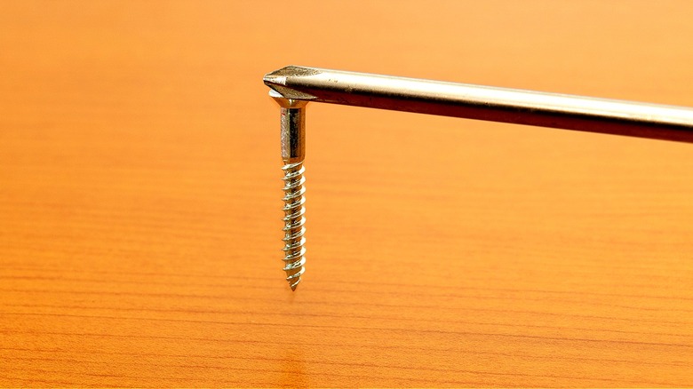 Screw and magnetized screwdriver