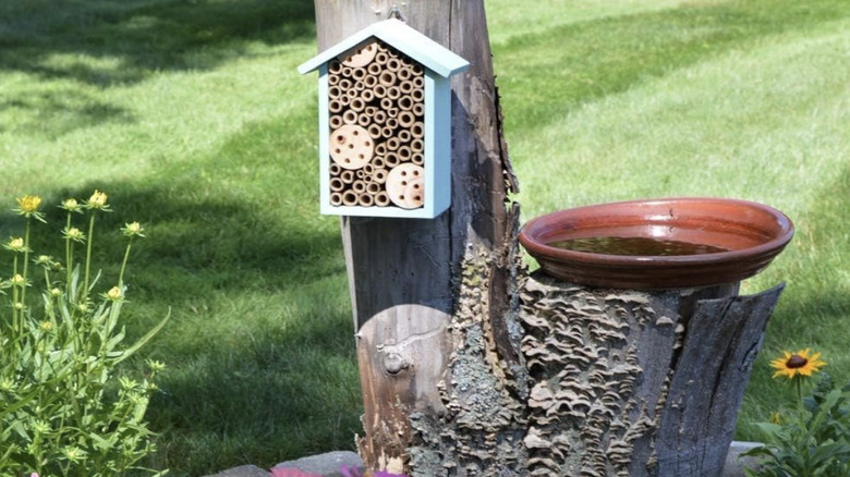 Nature's Way bee house in a yard