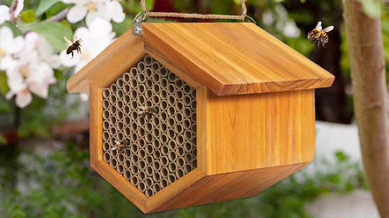 The Mason Bee House hanging, with bees visiting