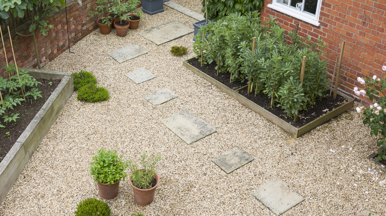 Garden with a path of plain concrete stepping stones