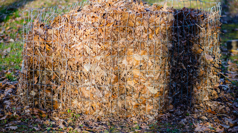 A large, cylindrical bin holds leaves for decomposition into leaf mold