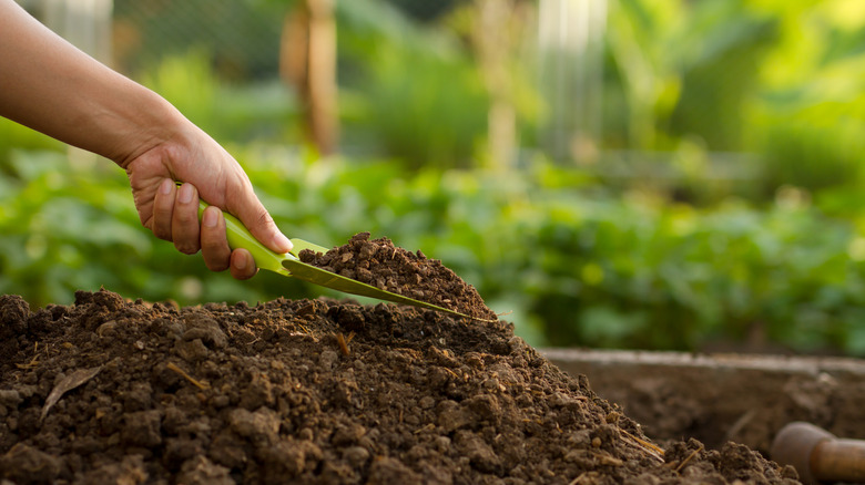 a person using a garden trowel to mix something in the soil