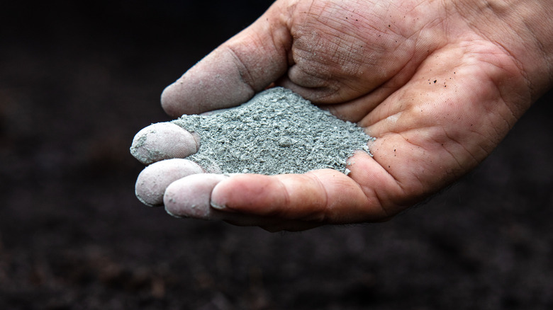 a man holding rock dust in his hands