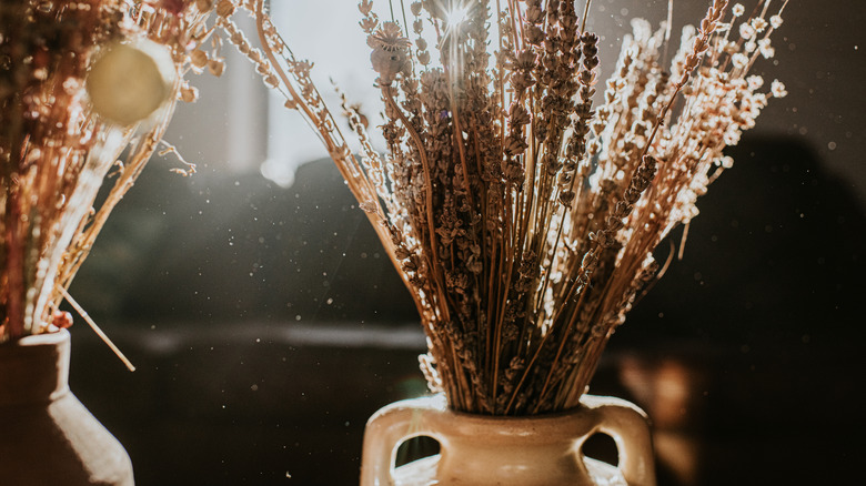 Dried flowers in vases backlit by sunlight