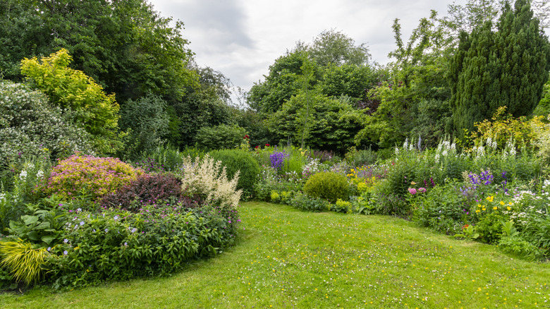 A garden with healthy shrubs and trees growing