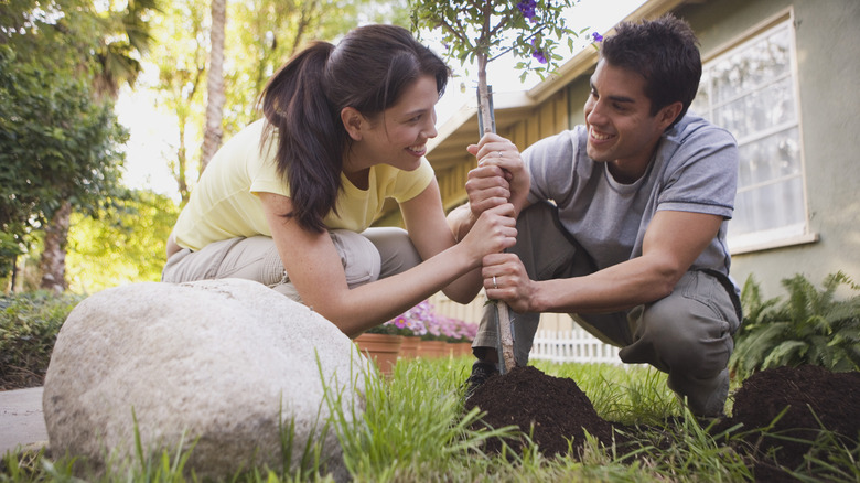 couple planting a tree