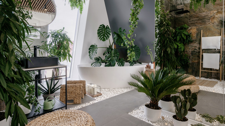 bathroom with lots of plants