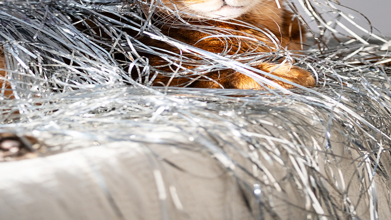 cat sitting and covered in silver tinsel