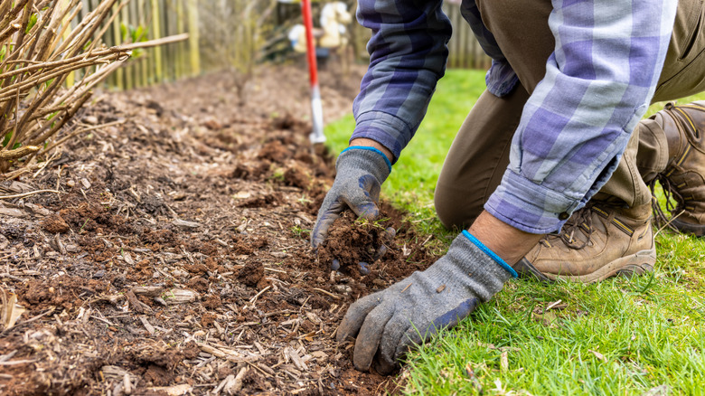 Person in gardening gloves digging up mulched bed edge