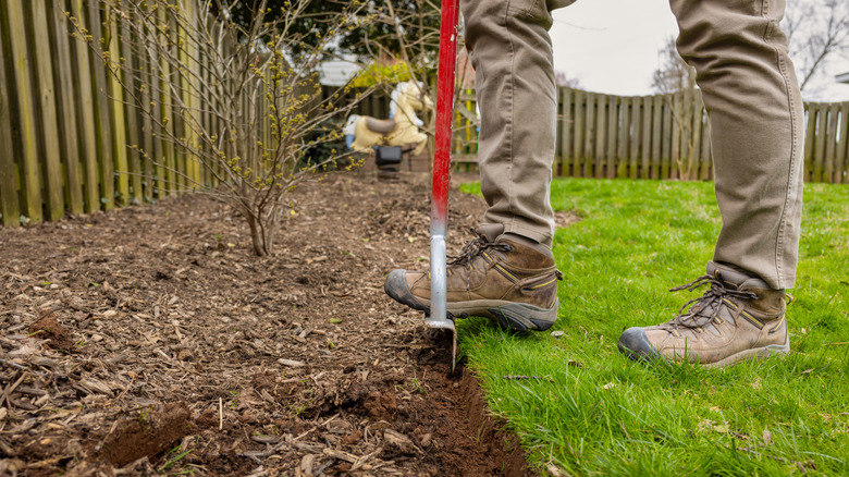 A person edges a garden bed in their backyard using an edging tool.