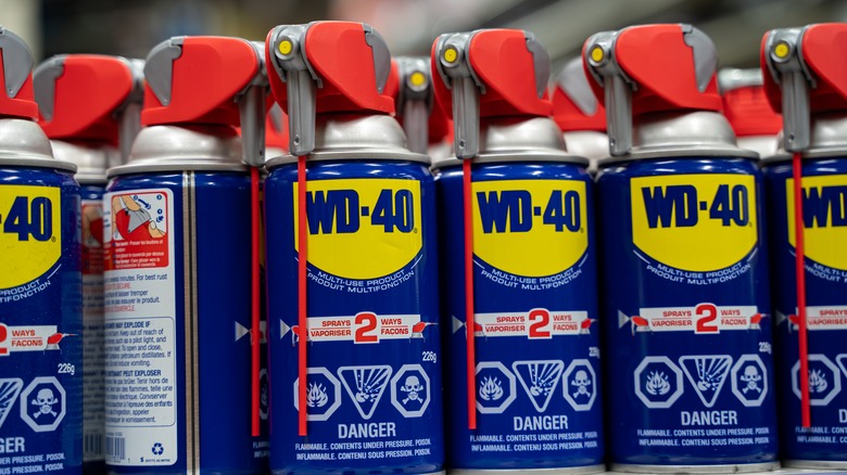 bottles of WD-40 on store shelf