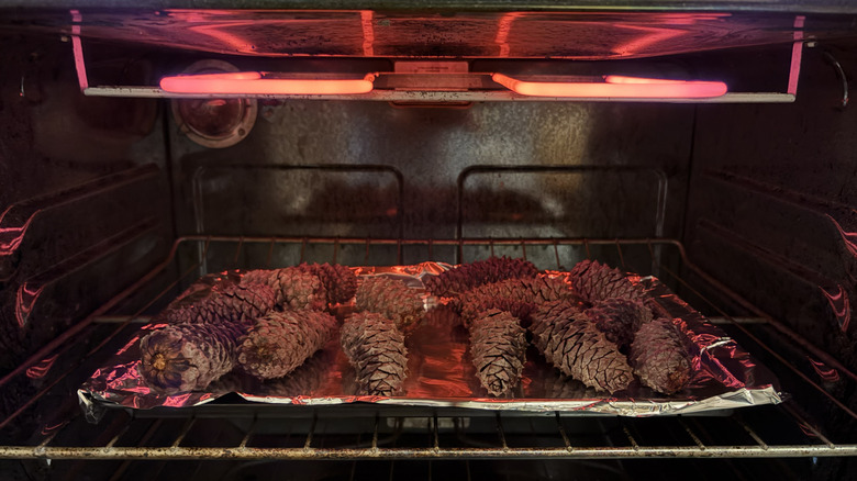 An aluminum-lined baking sheet covered in pinecones sits in a hot oven