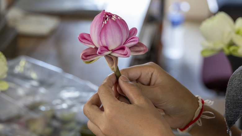 A hand holding a pink lotus flower.