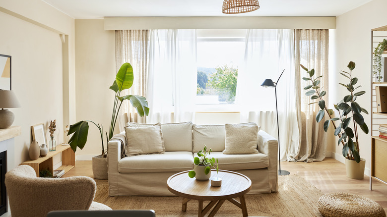Cozy living room with IKEA couch