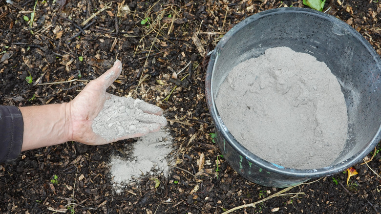 Close up of gardener adding wood ash to garden