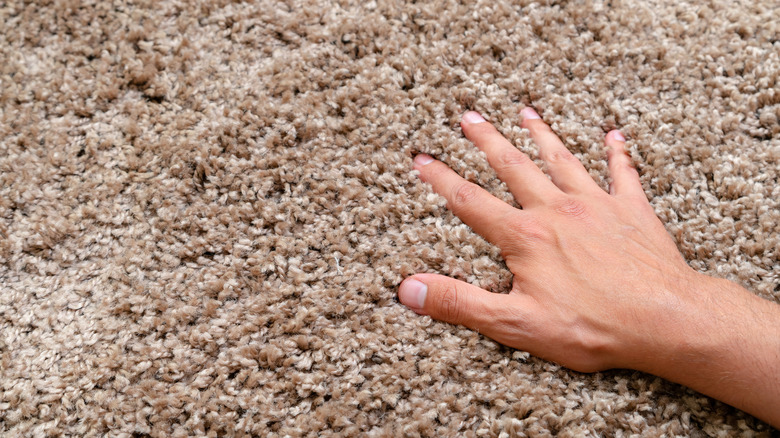 Hand feeling fluffy tan carpet