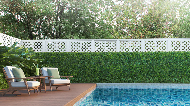 Faux ivy fence in backyard