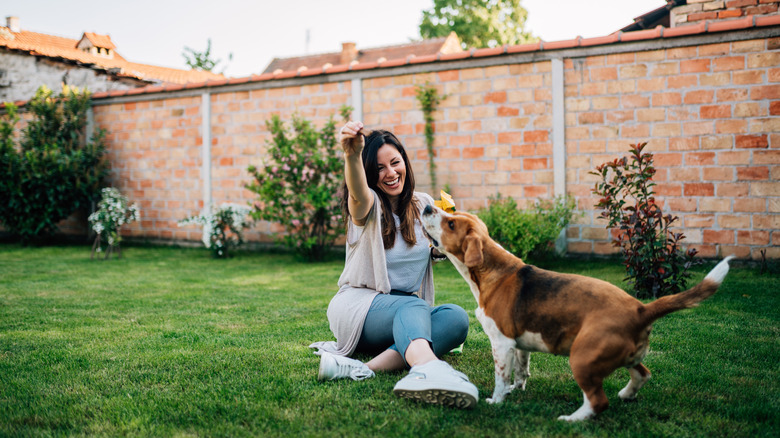 Person playing in yard with beagle
