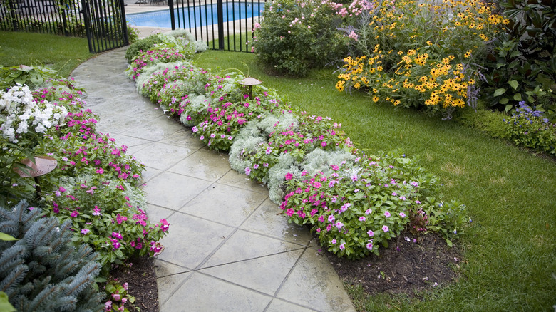 flowers lining path to pool