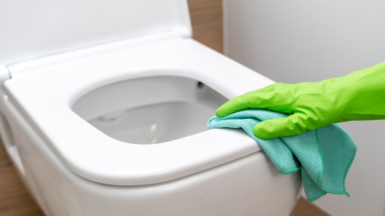 Hand cleaning a toilet