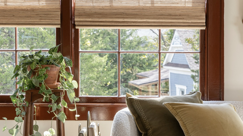 Large window with dark wood border and blinds